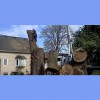 R D Tree Service