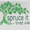 Spruce It Up Tree Care