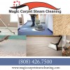 Magic Carpet Steam Cleaning