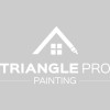 Triangle Pro Painting