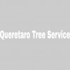 Queretaro Tree Service