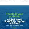 Global Mold Solutions