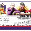 Camelot Carpet Cleaners