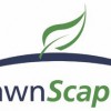 Lawn Scapes