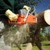 S & L Tree Service & Stump Grinding