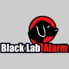 Black Lab Alarm