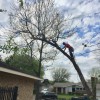 TopKnotch Tree Service