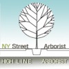 H Line Arborist