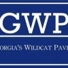 Georgia's Wildcat Pavin