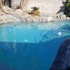 Beyond Blue Pool Service & Repairs