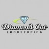 Diamond Cut Landscaping