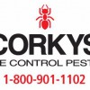 Corky's Pest Control