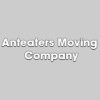 Anteaters Moving