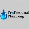 Professional Plumbing