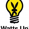 Watts Up Light Bulbs