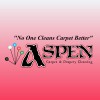 Aspen Roto Clean