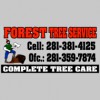 Forest Tree Service