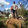 Acadiana Tree Service & Stump Removal