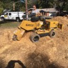 Piedmont Stump Grinding