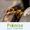 Promise Pest Control