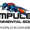 Ampulex Environmental Solutions