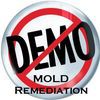 No Demo Mold