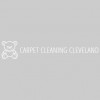 Carpetcleaningcleveland.com