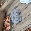 Delta Dryer Vent Cleaning