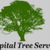 Capital Tree Service