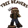 Tree Beavers