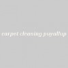 Carpet Cleaning Puyallup