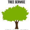 Little Elm Tree Service