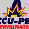 Accu-Pest Exterminating