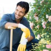 Rosebush Gardening Service