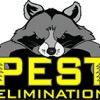 Pest Elimination