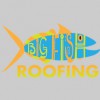 Big Fish Roofing