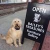 Bailey's Treasures