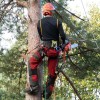 Aurora Tree Service