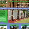 Quality By Design Landscaping