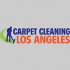 Cheap Carpet Care Service