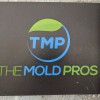 The Mold Pros