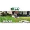 Eco Lawn Care