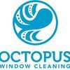 Octopus Window Cleaning