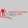 Carpet-Cleaning-Pro