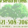 Tree Service By Curtis