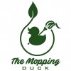 The Mopping Duck