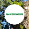 Provo Tree Experts