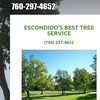 Escondido's Best Tree Service