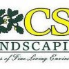 Csi Landscaping