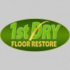 1st Dry Carpet Cleaning